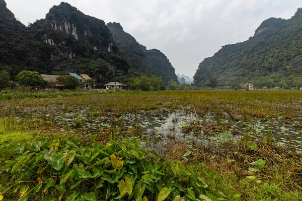 Paisaje Ninh Binh Tam Coc Vietnam —  Fotos de Stock