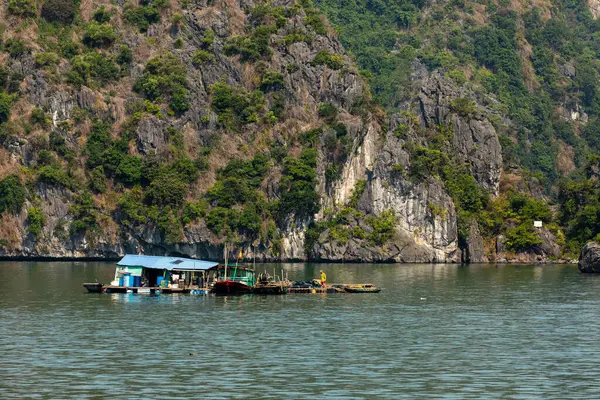 ベトナムのハロン湾の浮遊村とフィッシャー — ストック写真
