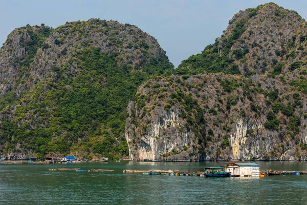 Schwimmendes Dorf Und Fischer Der Halong Bucht Vietnam — Stockfoto