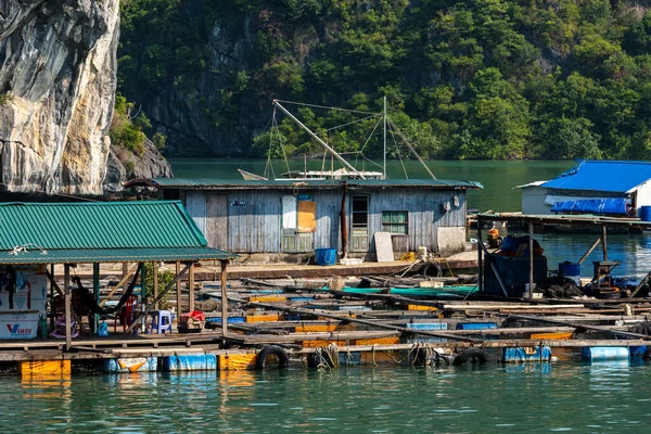 Flytande Village Och Fisher Halong Bay Vietnam — Stockfoto