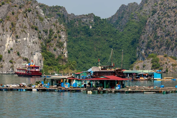 Vietnam Halong Körfezi Nin Yüzen Köyü Balıkçısı — Stok fotoğraf
