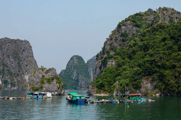 Schwimmendes Dorf Und Fischer Der Halong Bucht Vietnam — Stockfoto