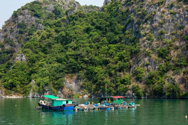 Pueblo Flotante Pescador Bahía Halong Vietnam —  Fotos de Stock