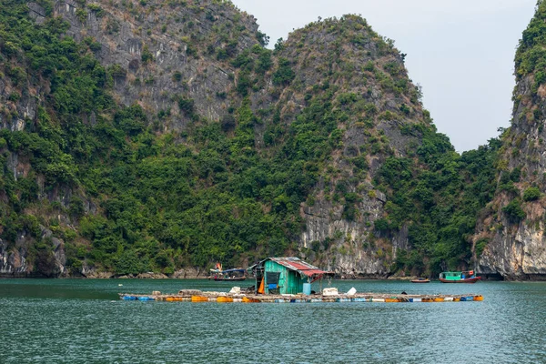 越南Halong湾的漂流村和渔民 — 图库照片