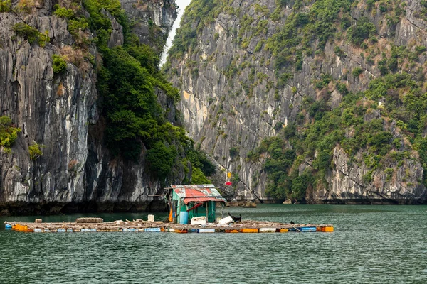 ベトナムのハロン湾の浮遊村とフィッシャー — ストック写真