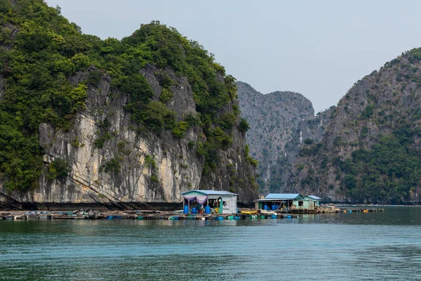 Floating Village Fisher Halong Bay Vietnam — Stock Photo, Image