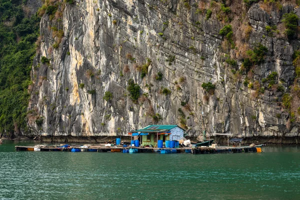 Floating Village Fisher Halong Bay Vietnam — Stockfoto