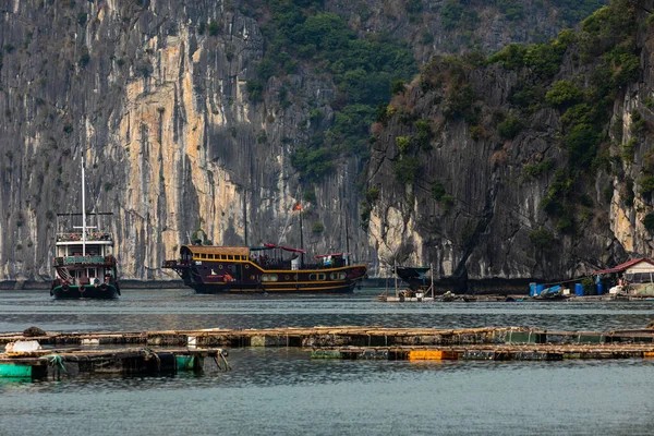 Плавучая Деревня Рыбак Залива Халонг Вьетнаме — стоковое фото