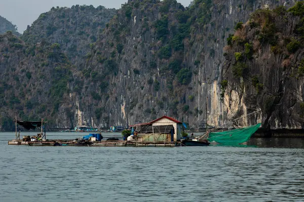 Pueblo Flotante Pescador Bahía Halong Vietnam —  Fotos de Stock