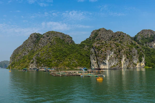 Pueblo Flotante Pescador Bahía Halong Vietnam —  Fotos de Stock