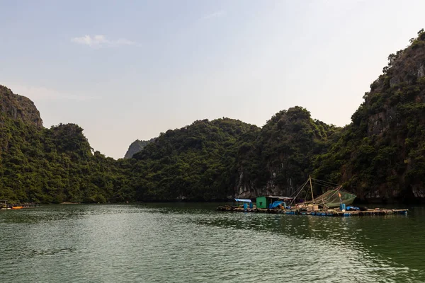 越南Halong湾的漂流村和渔民 — 图库照片