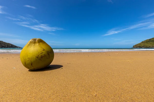 Plaża Wyspy Con Dao Wietnamie — Zdjęcie stockowe