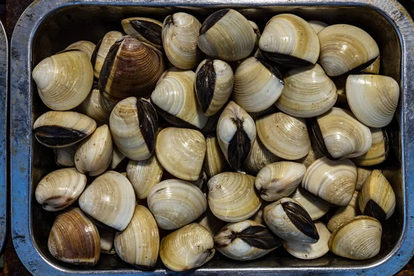 Mariscos Frescos Mercado Vietnam — Foto de Stock