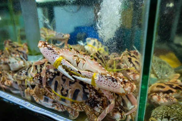 ベトナムの市場で新鮮な魚介類 — ストック写真