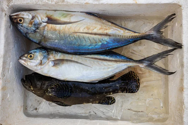 市集鲜鱼及海鲜 — 图库照片
