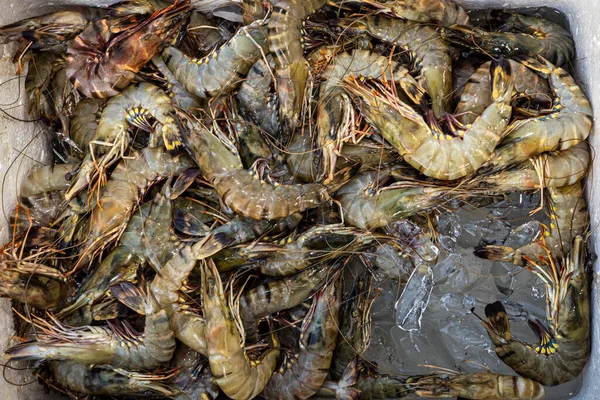 Fresh Seafood Market Vietnam — Stock Photo, Image