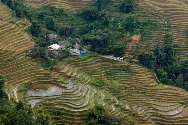 Ένα Αγρόκτημα Στο Τοπίο Της Sapa Στο Βιετνάμ — Φωτογραφία Αρχείου