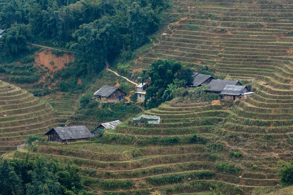 Una Fattoria Nel Paesaggio Sapa Vietnam — Foto Stock