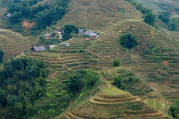 Ένα Αγρόκτημα Στο Τοπίο Της Sapa Στο Βιετνάμ — Φωτογραφία Αρχείου