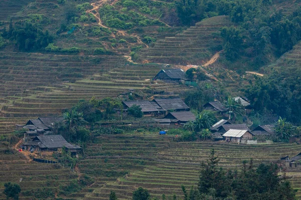 Farma Krajině Sapa Vietnamu — Stock fotografie