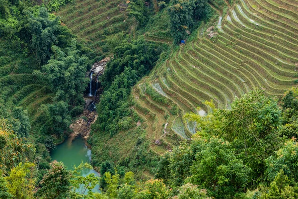 Uma Fazenda Paisagem Sapa Vietnã — Fotografia de Stock