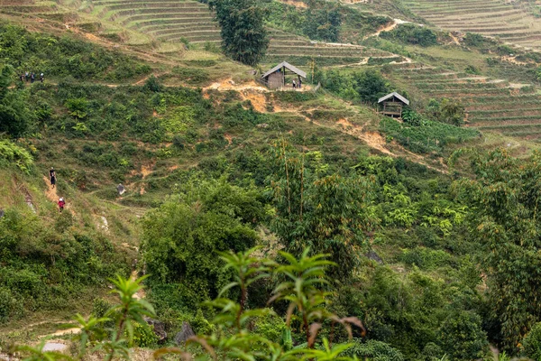 Una Fattoria Nel Paesaggio Sapa Vietnam — Foto Stock