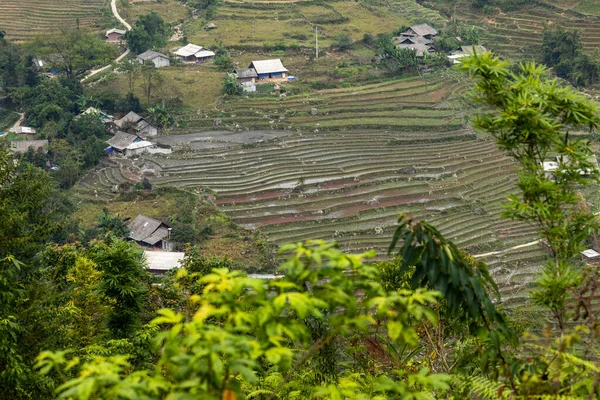 Una Fattoria Nel Paesaggio Sapa Vietnam — Foto Stock