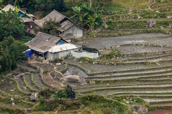 Farma Krajině Sapa Vietnamu — Stock fotografie