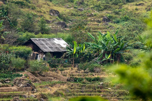 Farma Krajině Sapa Vietnamu — Stock fotografie