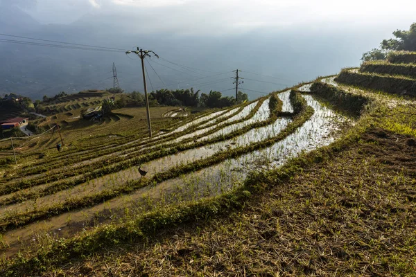Eine Farm Der Landschaft Von Sapa Vietnam Stockbild