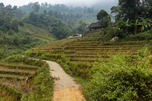 Una Fattoria Nel Paesaggio Sapa Vietnam — Foto Stock