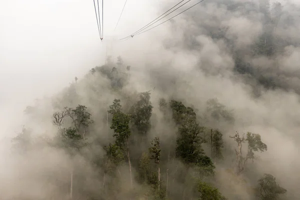 Vapor Niebla Selva Tropical — Foto de Stock