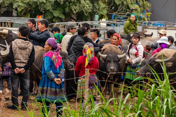 Local People Bac Market Vietnam Novembro 2019 — Fotografia de Stock