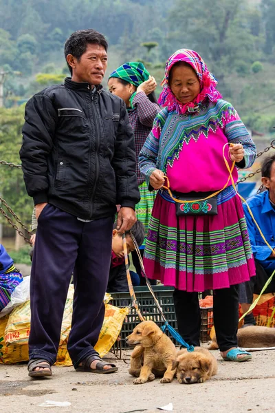 Welpenverkäufer Auf Dem Bac Markt Vietnam Nächster Termin 2019 — Stockfoto