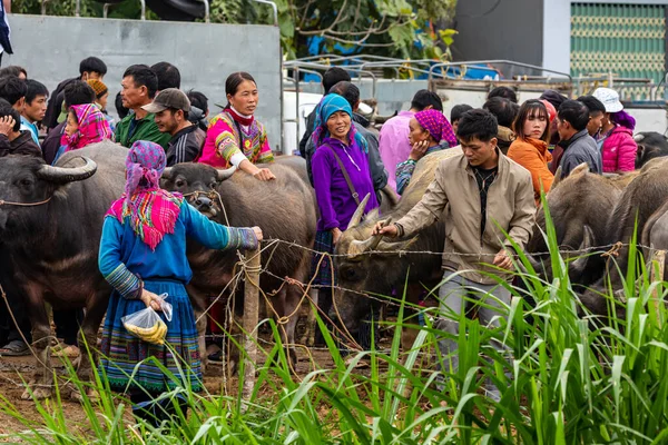 ベトナムのバックハ市場の地元の人々 2019年11月 — ストック写真
