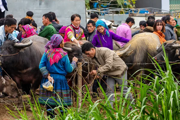 Local People Bac Market Vietnam November 2019 — Stock Photo, Image