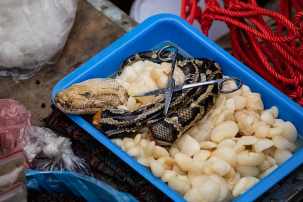 Python Snake Bac Market Vietnam — Stock Photo, Image