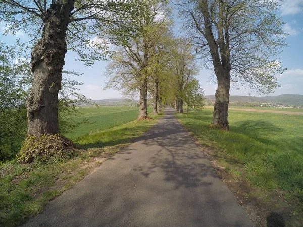 Allee Des Werratals Deutschland — Stockfoto