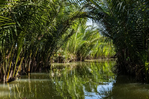 Palm Trees River Hoi Vietnam — Stock Photo, Image