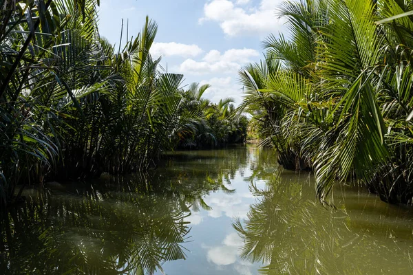 Palm Trees River Hoi Vietnam — Stock Photo, Image