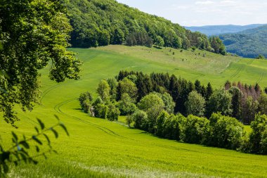 Mısır gevrekli tarım ve tarım arazileri