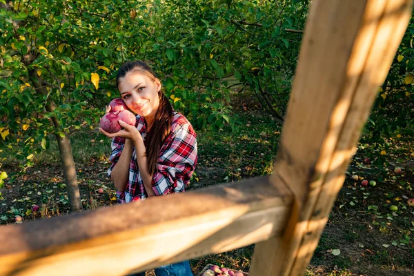 Portrait d'une jolie fille en chemise rouge dans le jardin belle fille tient des pommes près du visage et se tient près des escaliers, et tenir une pomme mûre dans sa main — Photo