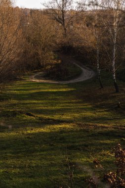 Toprak yolun fotoğrafı sonbahar ormanları arasında dönüyor.