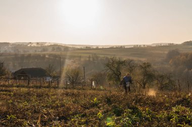 Genç yakışıklı adam kuru çim biçiyor, arka planda günbatımı olan muhteşem sonbahar manzarası.