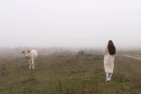 Chica morena en abrigo blanco va a la vaca que se encuentra entre el prado en la niebla y mirándola — Foto de Stock