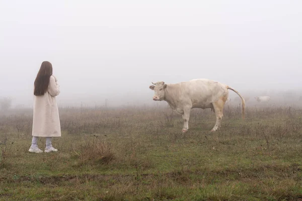 Chica morena en abrigo blanco se encuentra entre el prado en la niebla cerca de la vaca que meando y mirándola — Foto de Stock