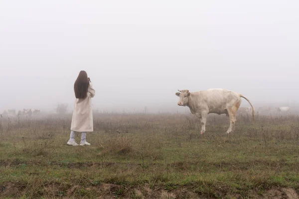 Chica morena en abrigo blanco se encuentra entre el prado en la niebla cerca de la vaca que meando y mirándola — Foto de Stock