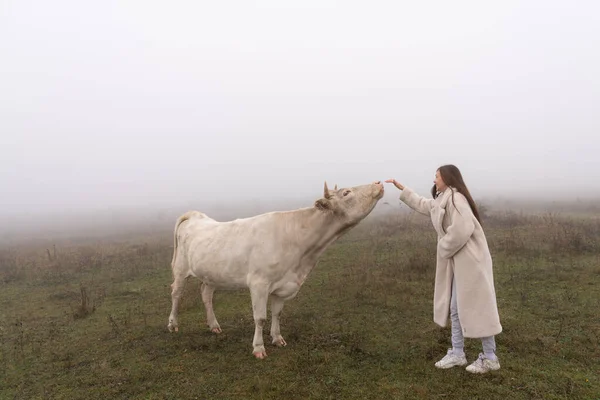 若いですブルネット女の子でコートスタンド間にザmedowで霧とともに牛その手に達する — ストック写真