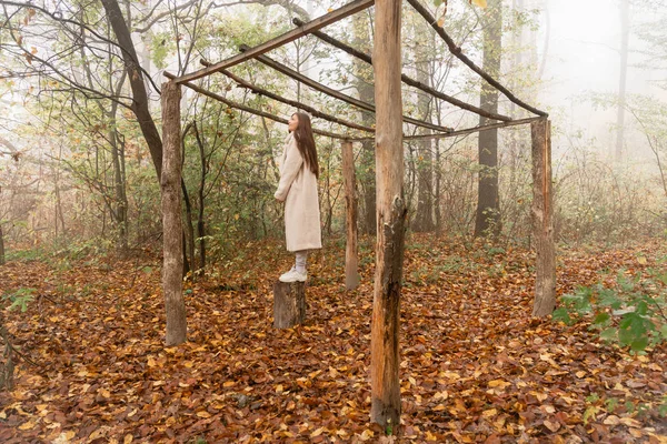 Joven morena hembra en bata blanca se para en el muñón bajo el dosel de tronco seco entre el bosque en la niebla — Foto de Stock