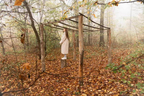 若いですブルネット女性で白いコートスタンド上の切り株の下に乾いた丸太キャノピーの下で森の中で霧 — ストック写真